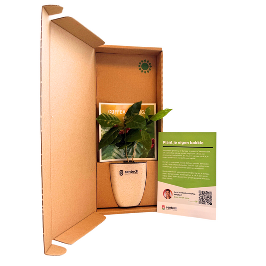 🌿 Duurzaam geschenk opent deuren: Sentech verrast agro-leads met koffieplantje