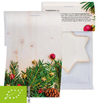 Biologische kaneelsterren (7 gram) in flowpack met topkaart