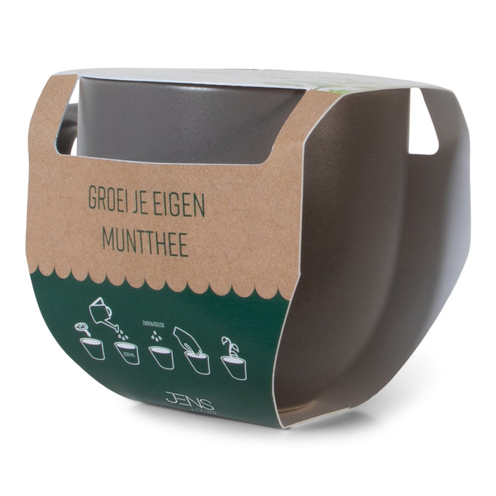 Groei Je Eigen Muntthee Mok – JENS Living