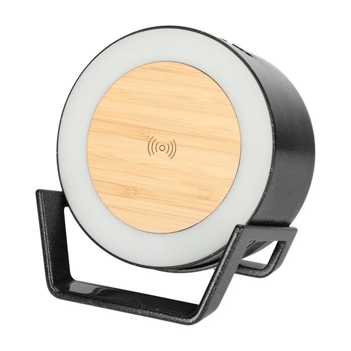 LED Charger Speaker Vic Wheatstraw Zwart – BRAINZ