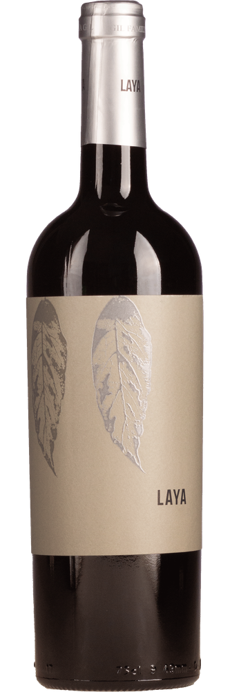 Juan Gil Almansa Laya, fles