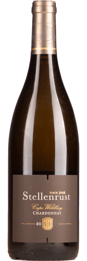 Stellenrust Barrelfermented Chardonnay 'Cape Wildling', fles