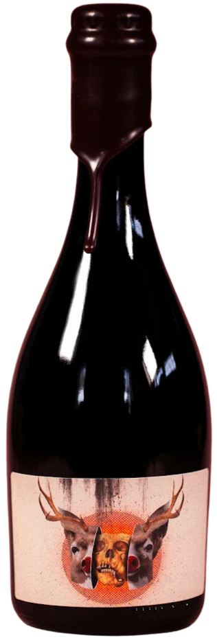 Brasserie Sir John Anatomie Du Temps, fles