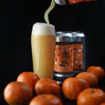 Equilibrium Brewery Tangerine Peel Laboratory, fles