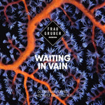 Frau Gruber - Waiting In Vain, fles