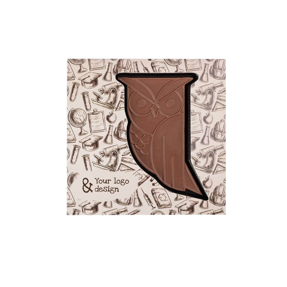 Chocolade uil in vierkante doos met bedrukt patroon en voorbeeldontwerp