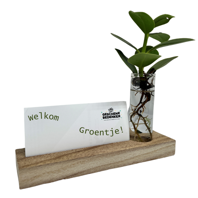 Vrolijk 1 productafbeelding