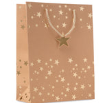 Kraftpapieren geschenkzak Sparkle in goud
