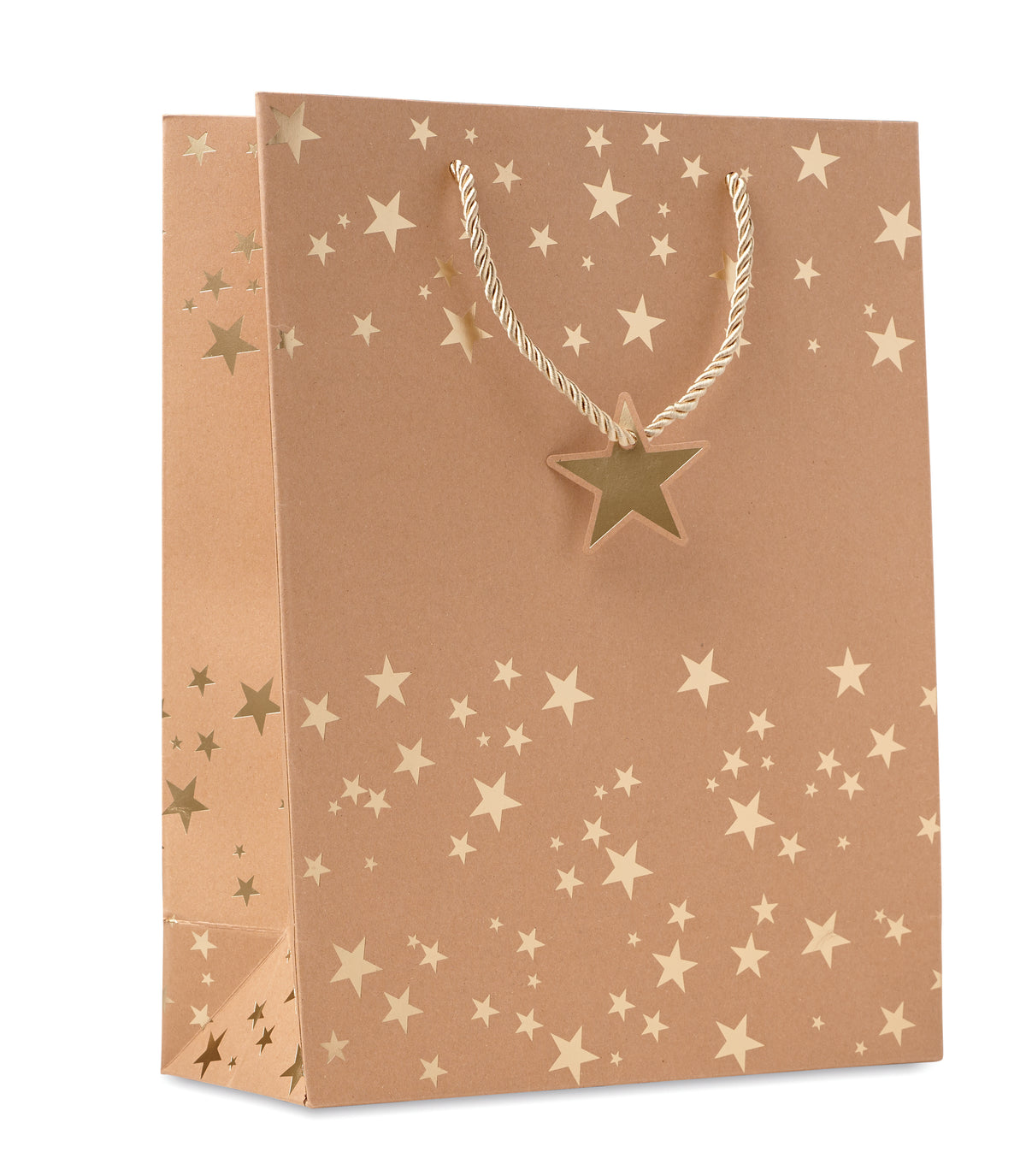 Kraftpapieren geschenkzak Sparkle in goud