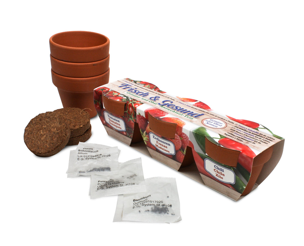 Kweekset met drie terracotta potjes van 5 cm in een lange bedrukte wikkel, met losse potjes, kokostabletten en zaadzakjes ernaast