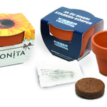 Klein terracotta kweekpotje met kokostablet en zaadzakje, naast bedrukte wikkels als voorbeeld