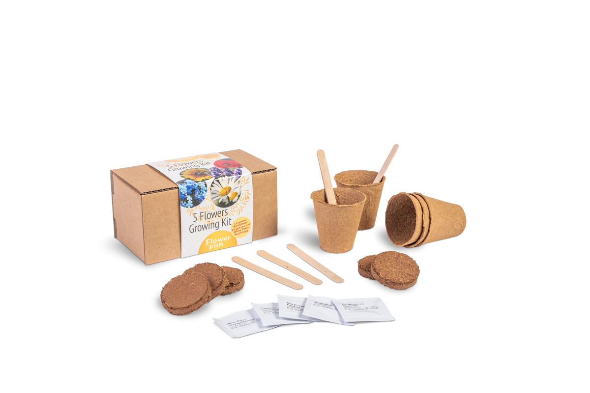 Kweekdoos van kraftkarton met bedrukte wikkel, met ernaast vijf afbreekbare potjes, kokostabletten, houten plantenlabels en zaadzakjes