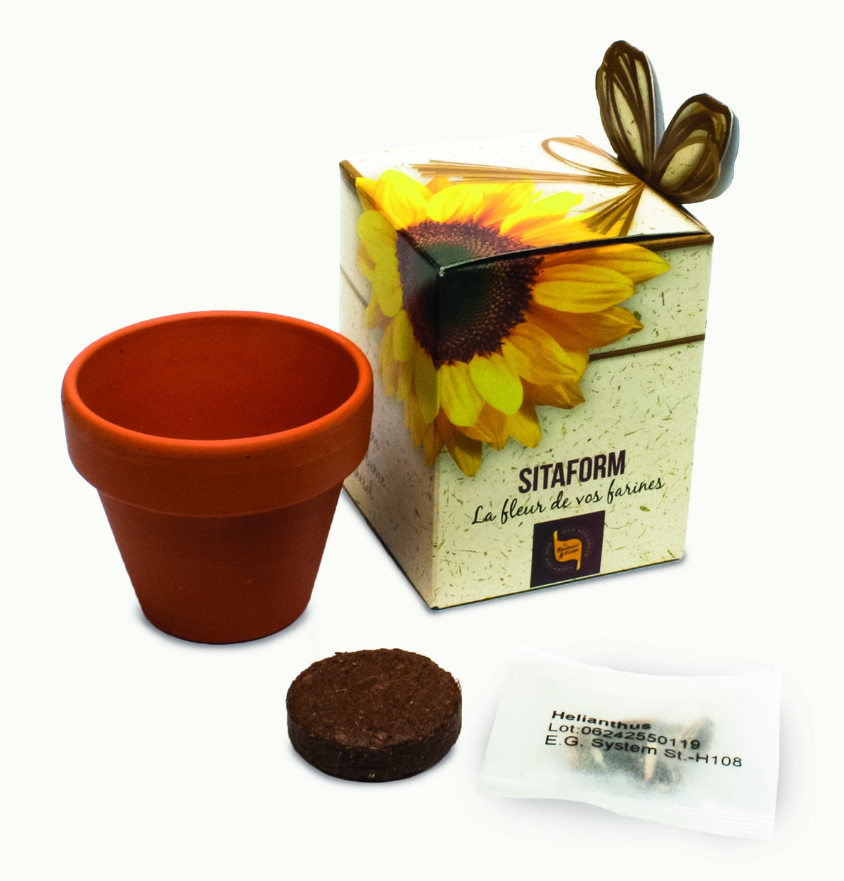 Terracotta kweekpotje met kokostablet en zaadzakje naast een bedrukt showdoosje met zonnebloem