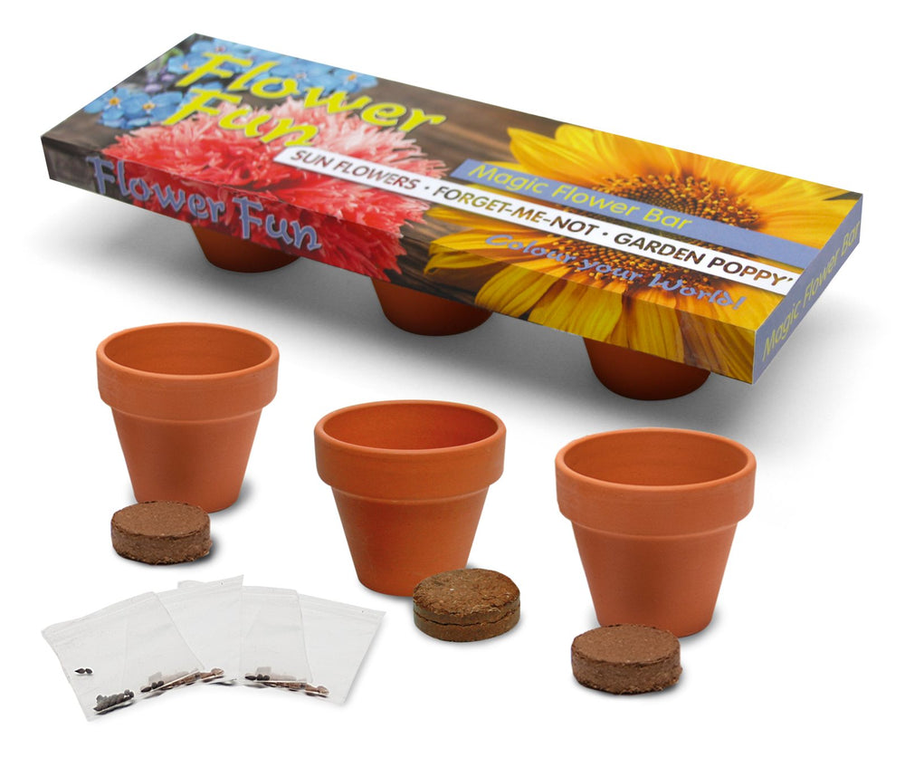 Kweekreep met drie terracotta potjes, kokostabletten en bloemenzaadjes in bedrukte wikkel