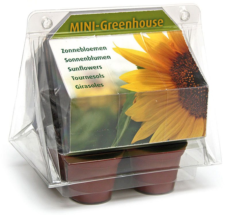 Minikas met vier terracotta potjes en zonnebloemzaadjes in standaard verpakking