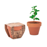 Potje munt Mint Pot in hout