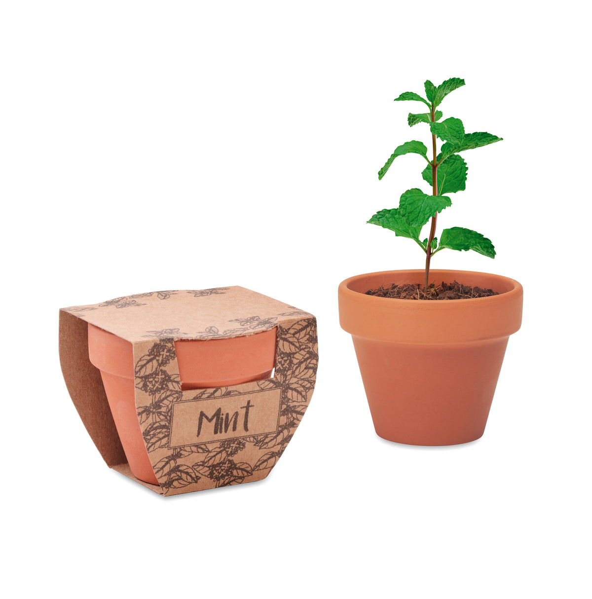 Potje munt Mint Pot in hout