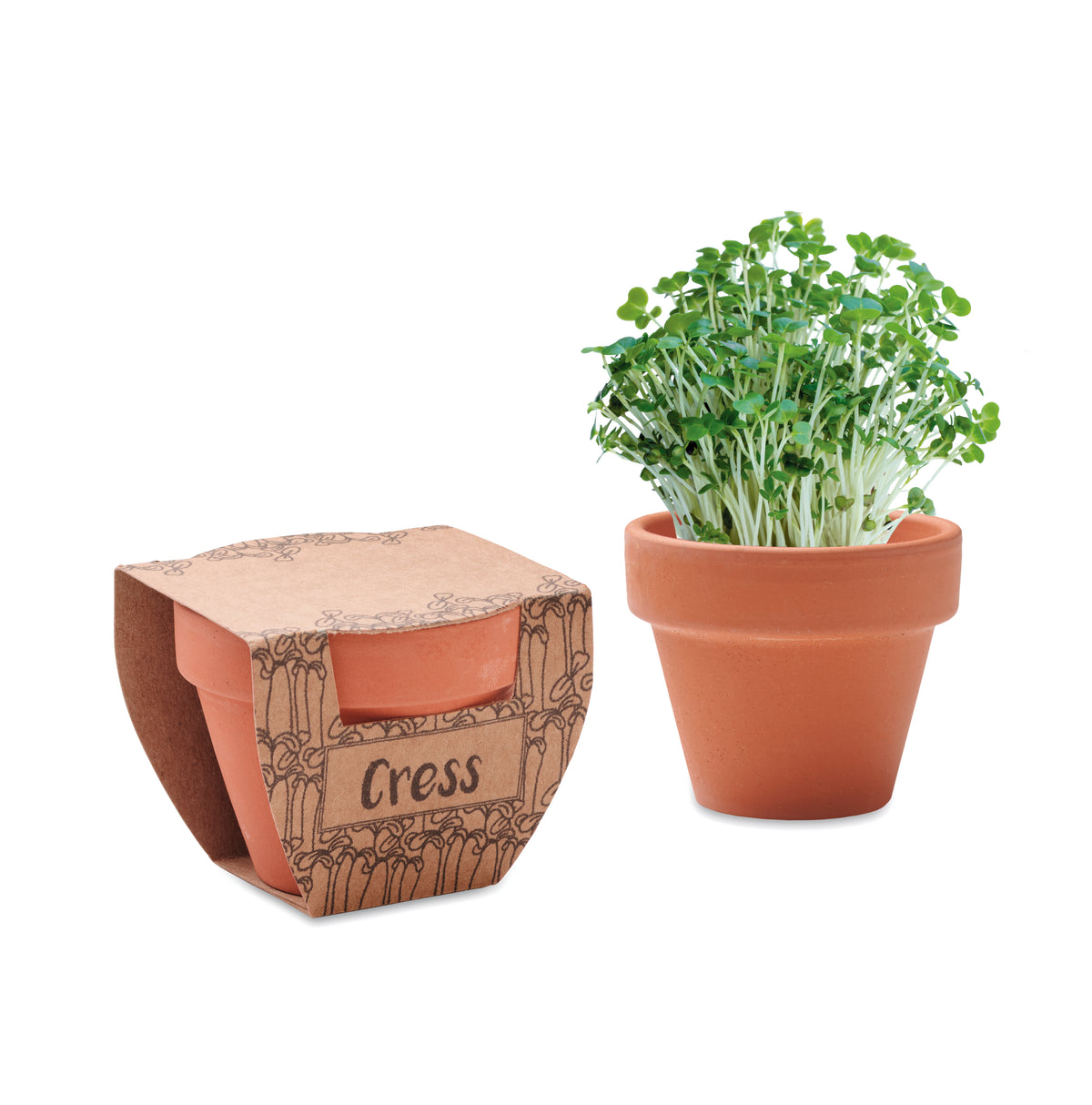 Potje tuinkers Cress Pot in hout