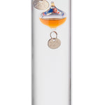 Leo thermometer glas 28 cm Gali in transparant