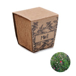 Muntzaad kweekset Mint Kit in beige
