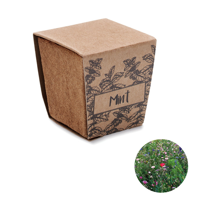 Muntzaad kweekset bedrukken – Mint Kit
