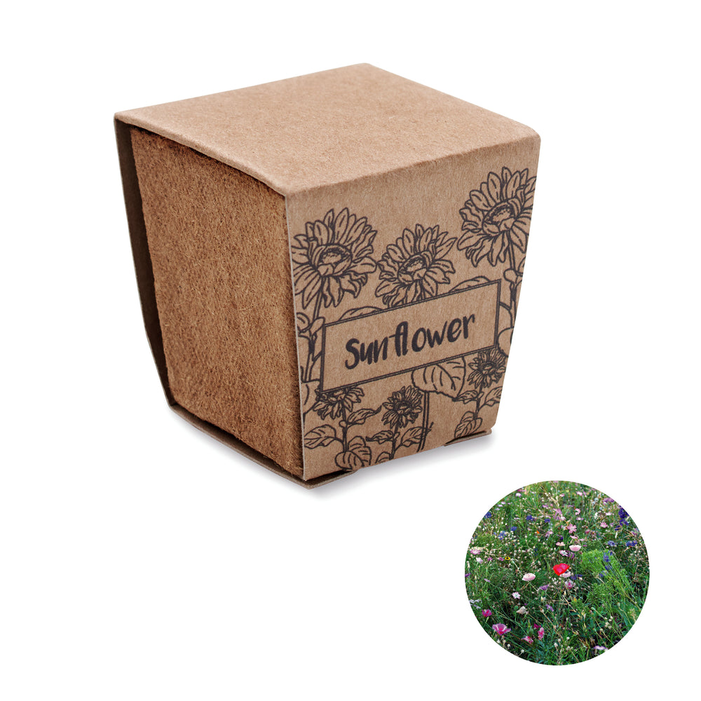Zonnebloem kweekset Sunflower Kit in beige