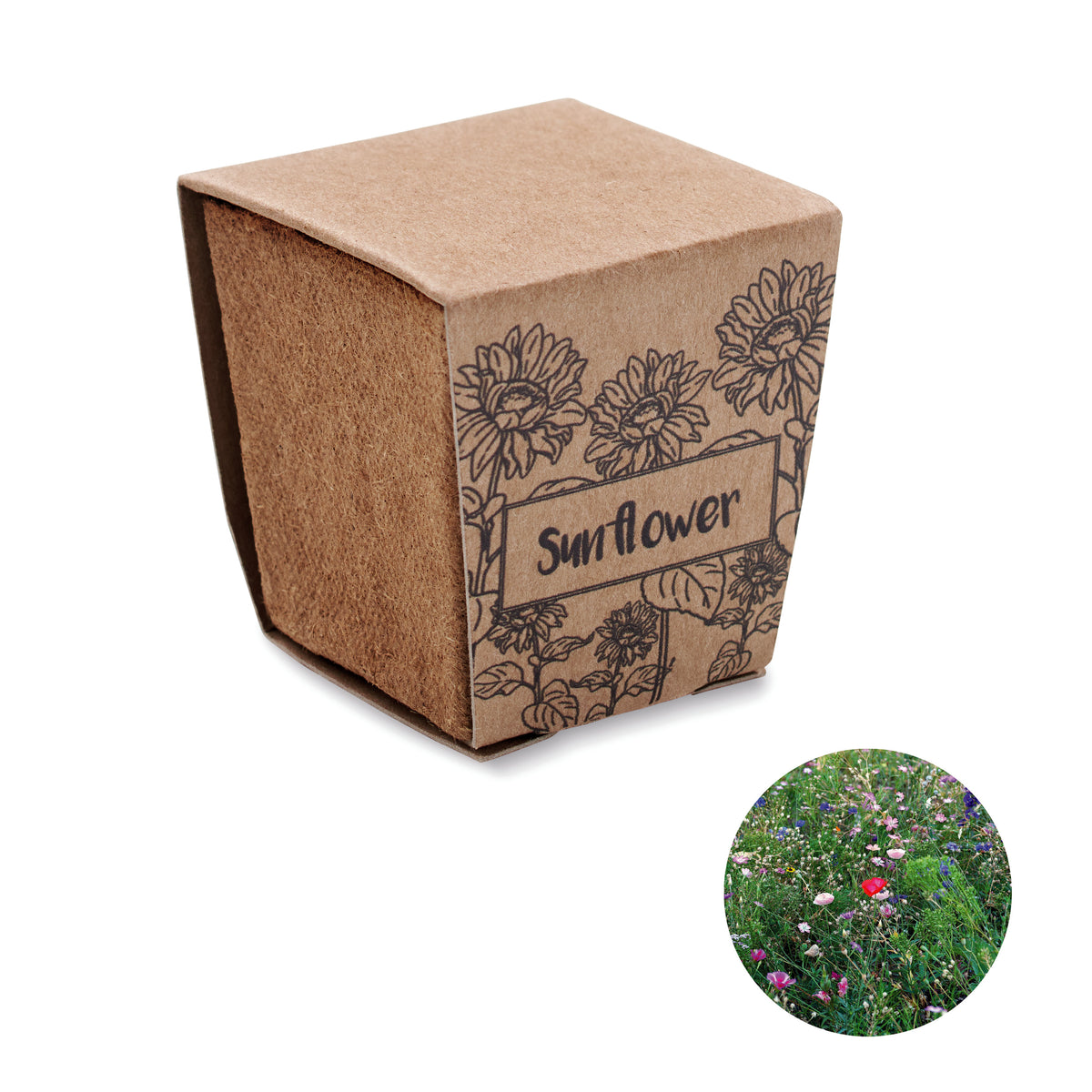 Zonnebloem kweekset Sunflower Kit in beige