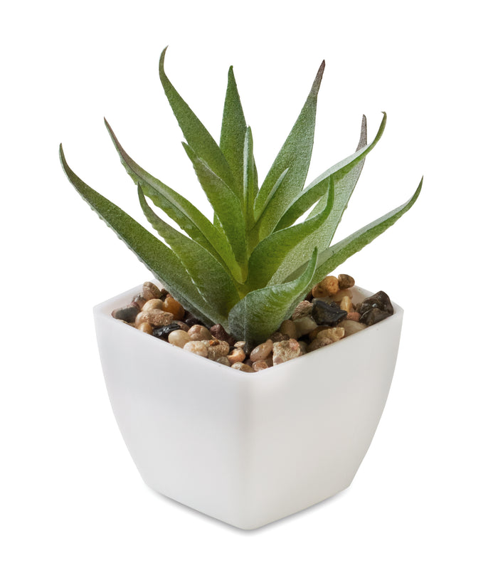 Mini kunstplant bedrukken – Artiloe