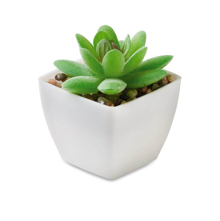 Mini kunstplant bedrukken – Artigrap