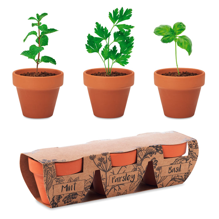 Kruidenpotjes set van 3 bedrukken – Flowerpot