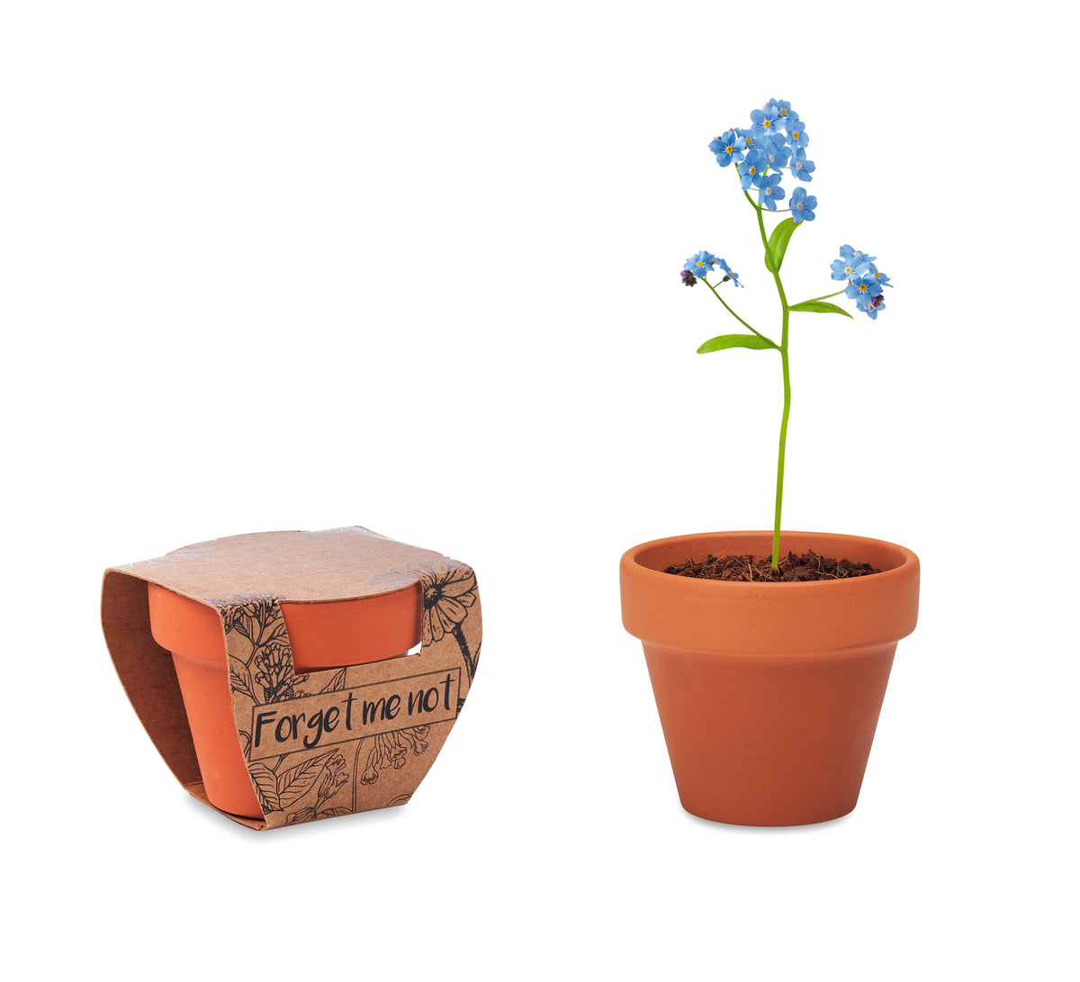 Potje Vergeet-me-nietjes Forget Me Not in hout
