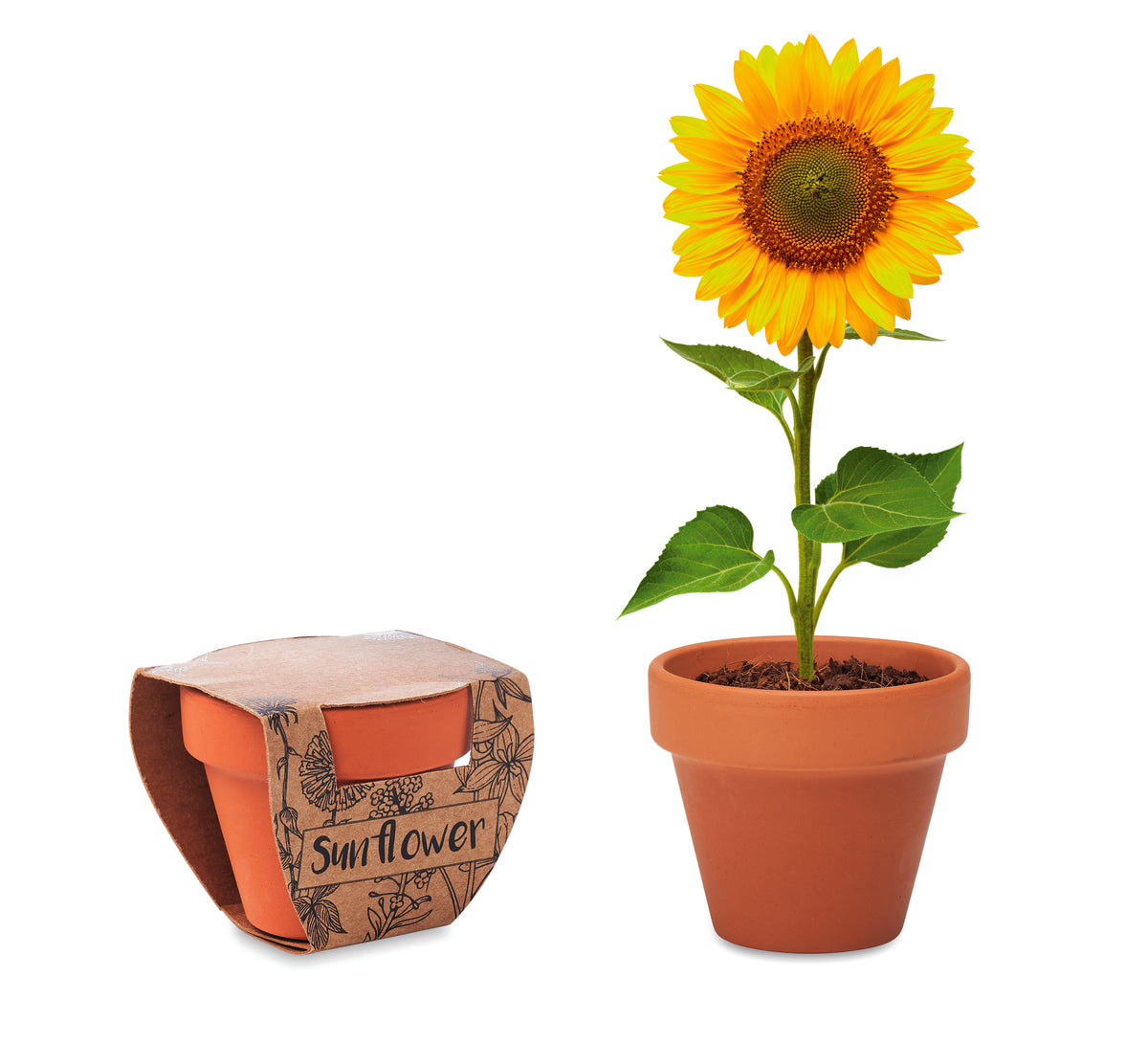 Potje Zonnebloem Sunflower in hout