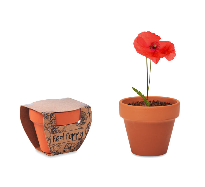 Potje Klaproos bedrukken – Red Poppy