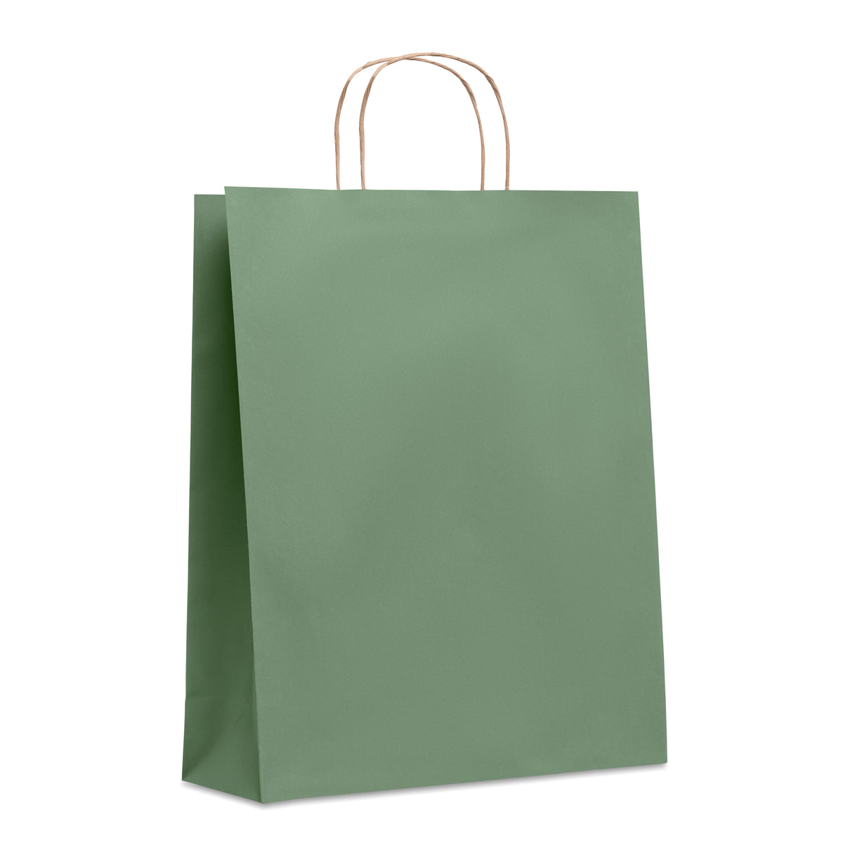 Grote papieren geschenktas Paper Tone L in groen