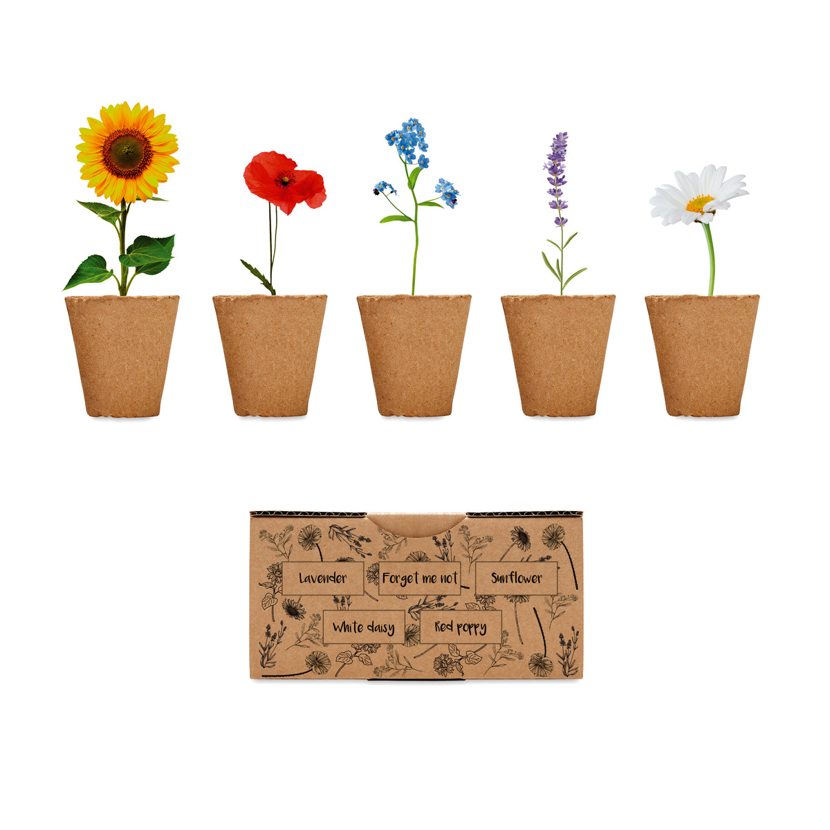 Bloemen kweekset Flowers in beige