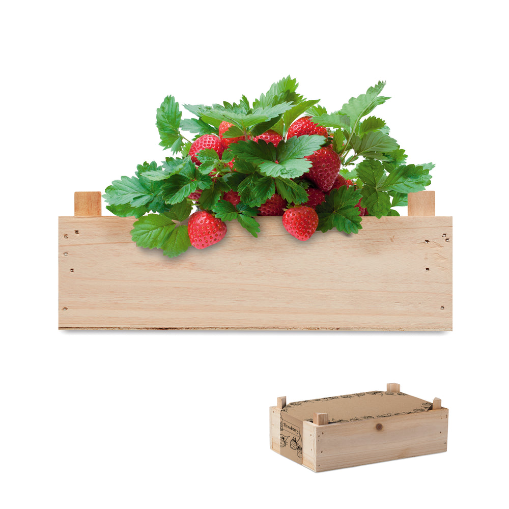 Aardbeienpakket in houten krat Strawberry in hout