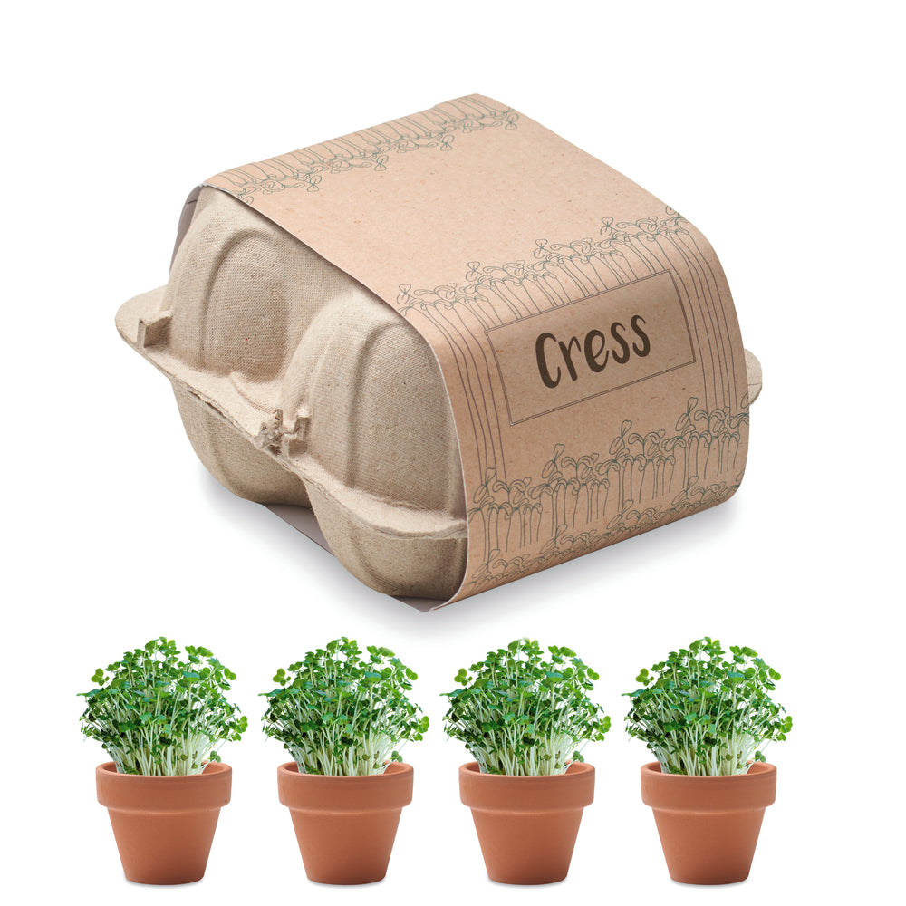 Kweekset in eierdoos Cress in beige