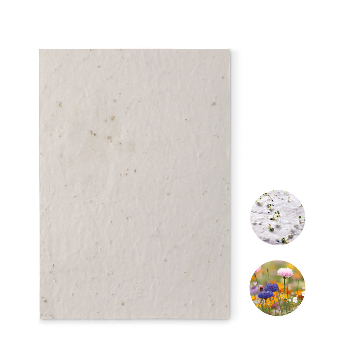 A5 zaadpapier wilde bloemen bedrukken – Aside