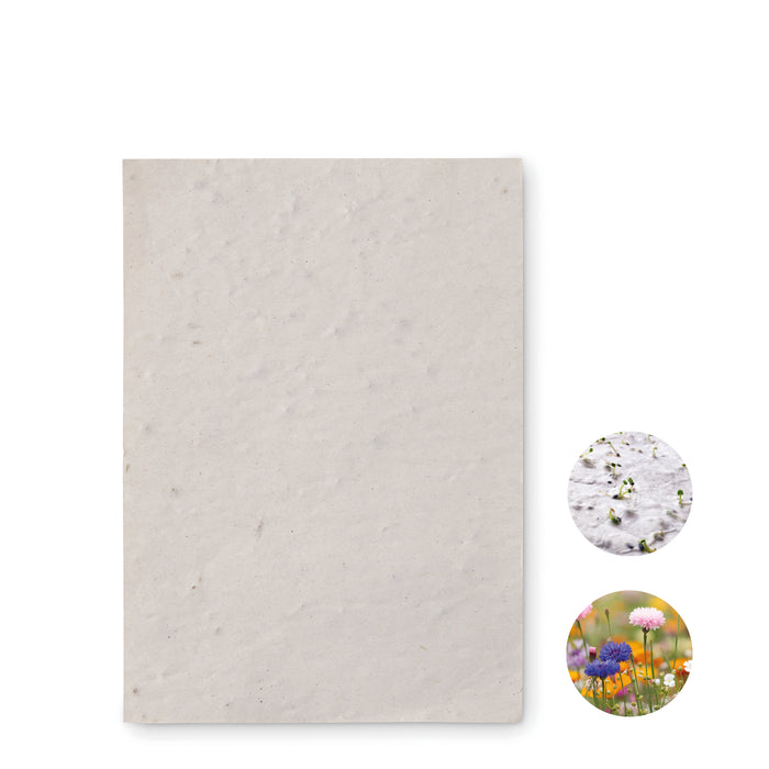 A6 zaadpapier wilde bloemen bedrukken – Asido