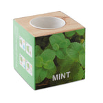 Kweekset, munt in houten pot Menta in hout