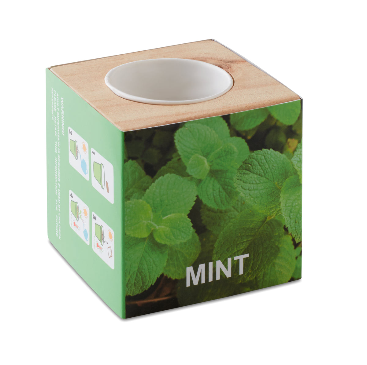 Kweekset, munt in houten pot Menta in hout