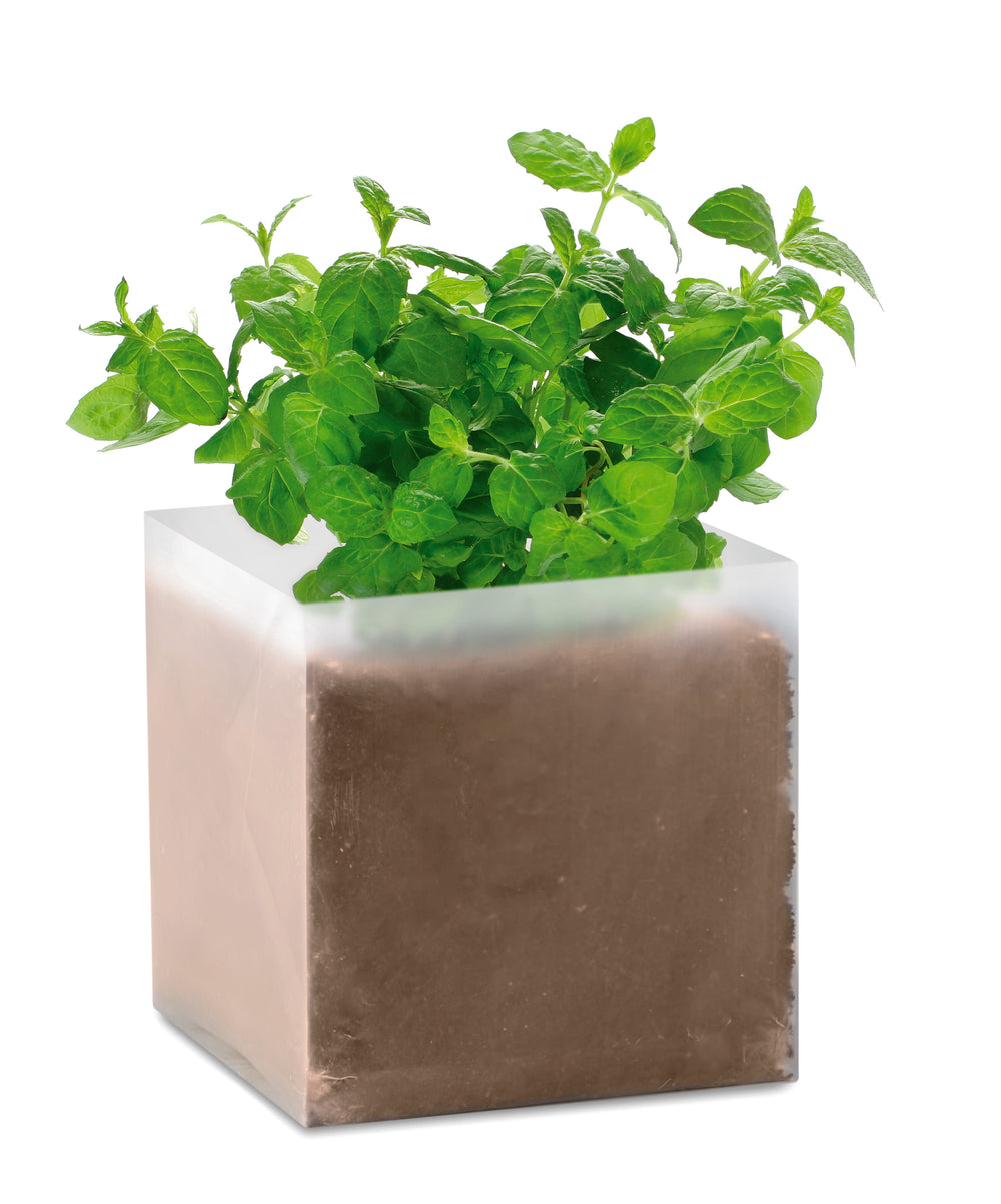 Compost met munt zaadjes Mint in beige