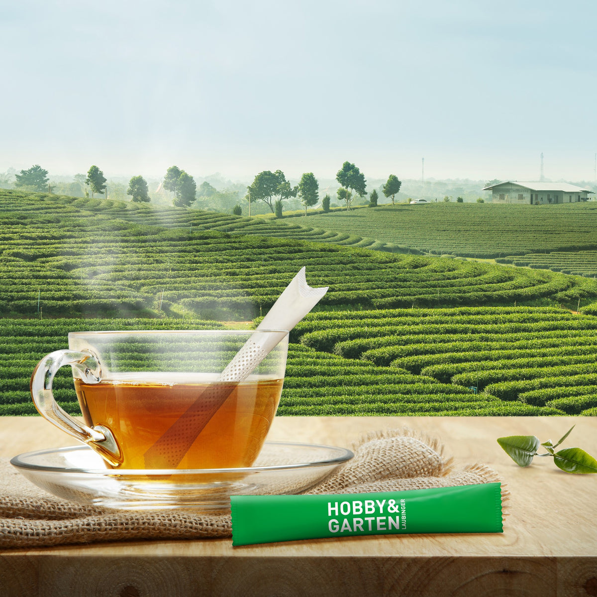 Sfeerbeeld van theekaart met biologische theestick, TeaFlyer