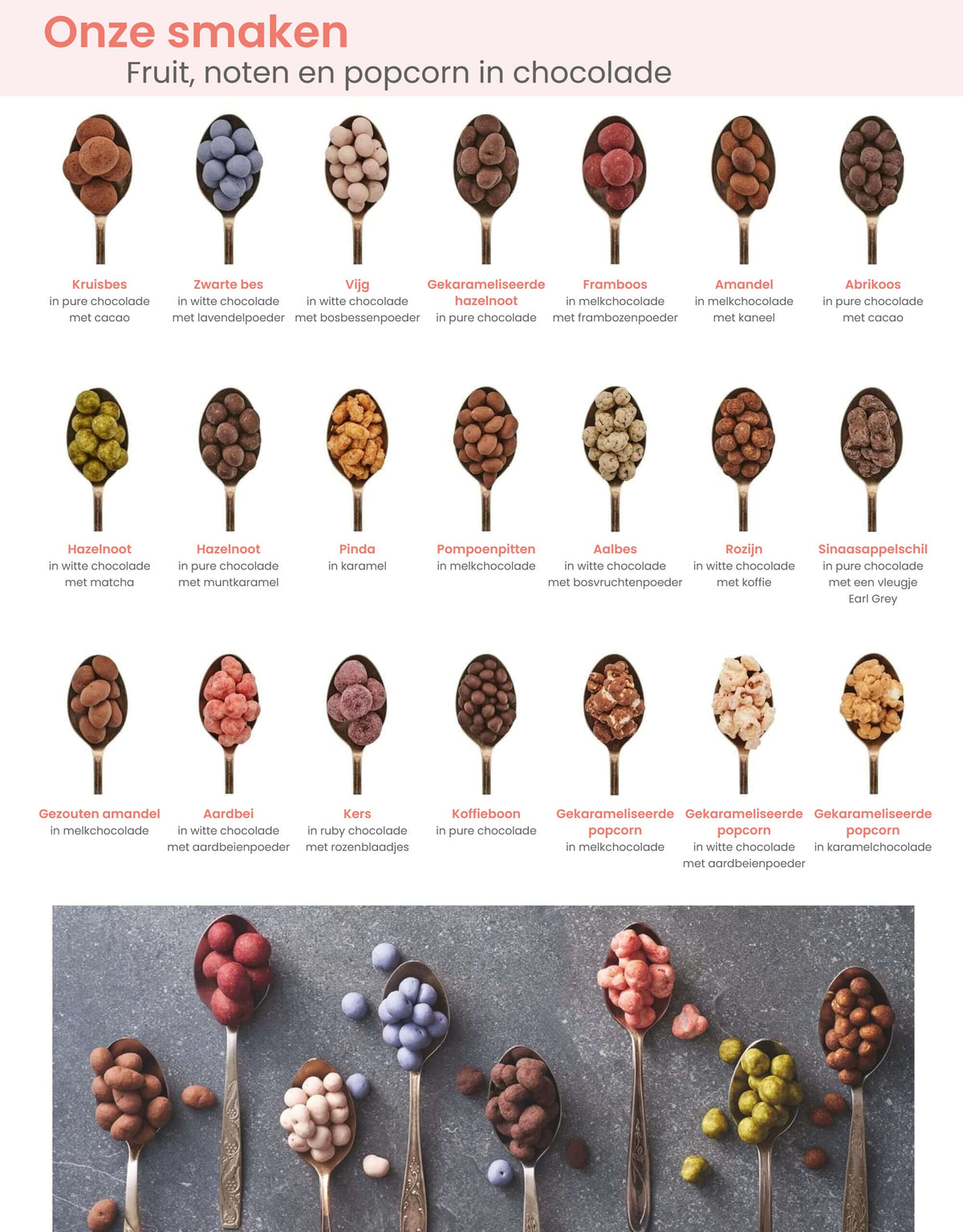 Overzicht van 21 smaken fruit, noten en popcorn in chocolade op lepels, met de Nederlandse smaaknamen