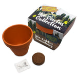 Terracotta kweekpot van 85 mm met kokostablet en zaadzakje, naast een bedrukte wikkel met cactussen