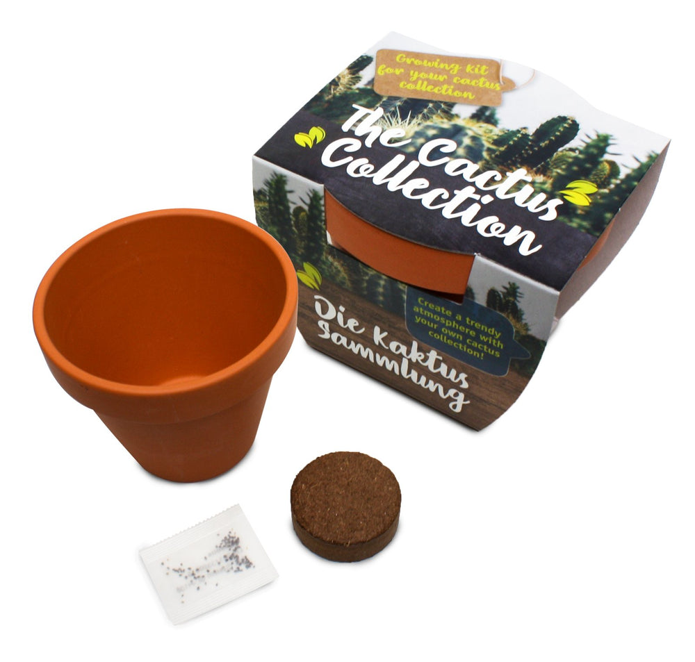 Terracotta kweekpot van 85 mm met kokostablet en zaadzakje, naast een bedrukte wikkel met cactussen