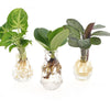 MixinBerlingglas productafbeelding