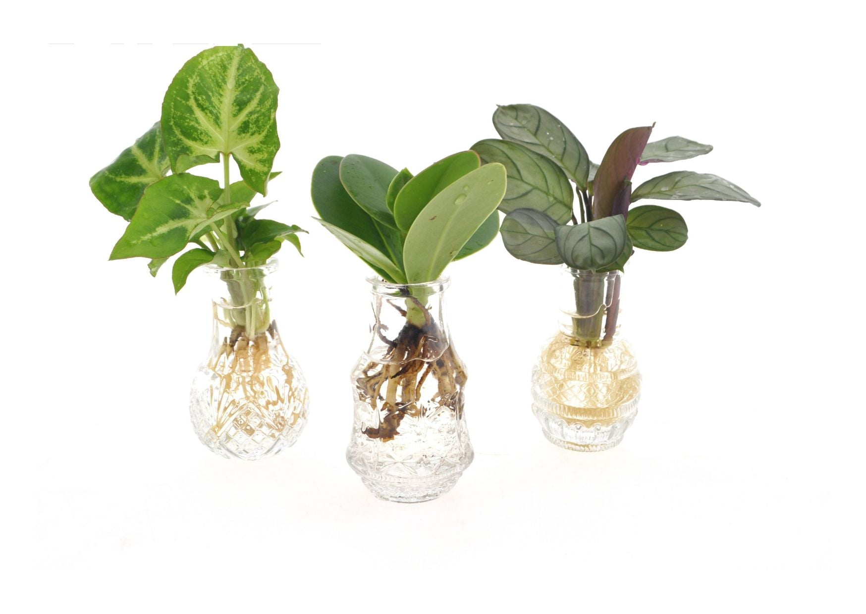 MixinBerlingglas productafbeelding