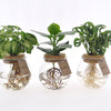 MixinBolglas productafbeelding