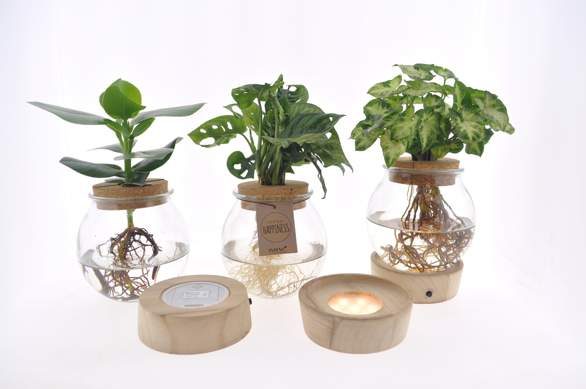 MixinBolglas LED productafbeelding